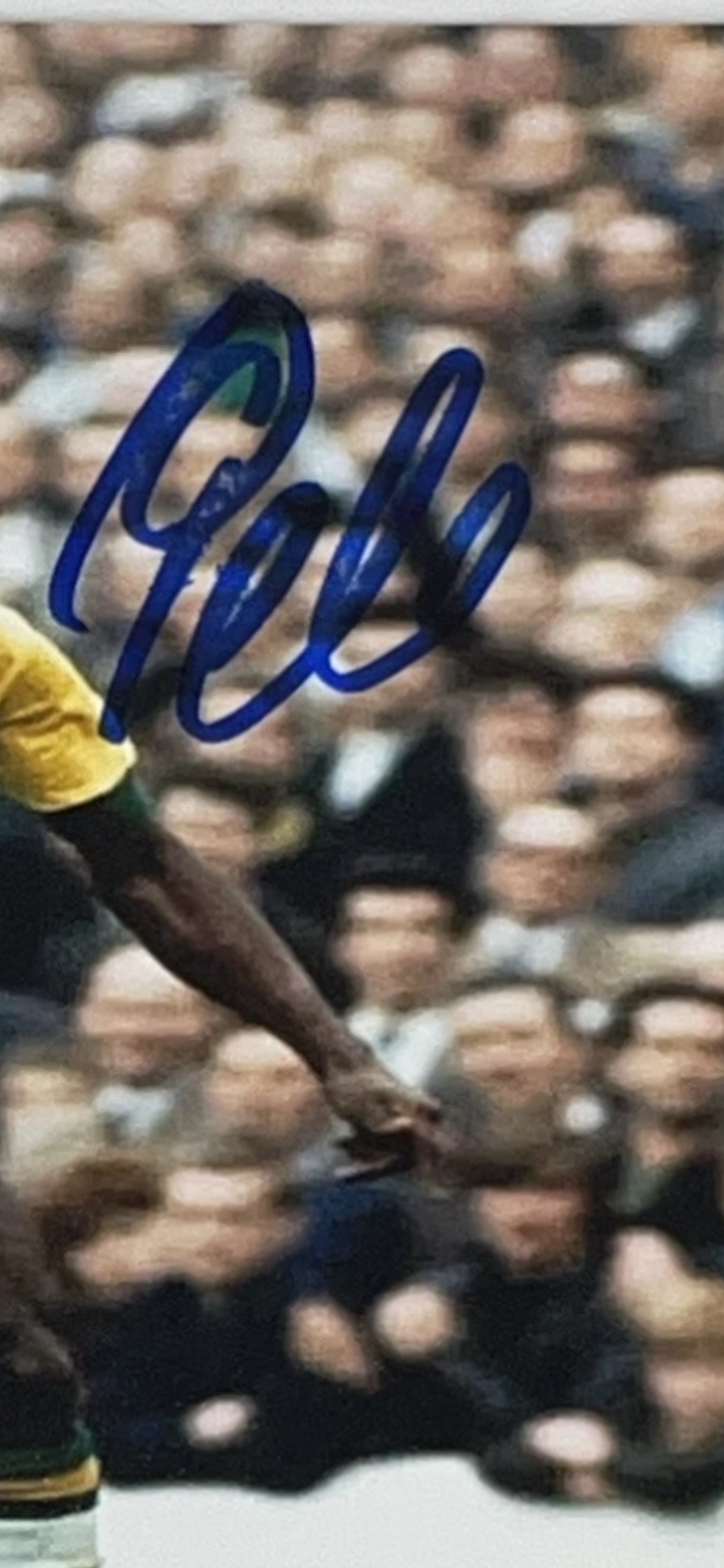 Pelé Signed 8x10 Photo – Beautiful Blue Ink Autograph