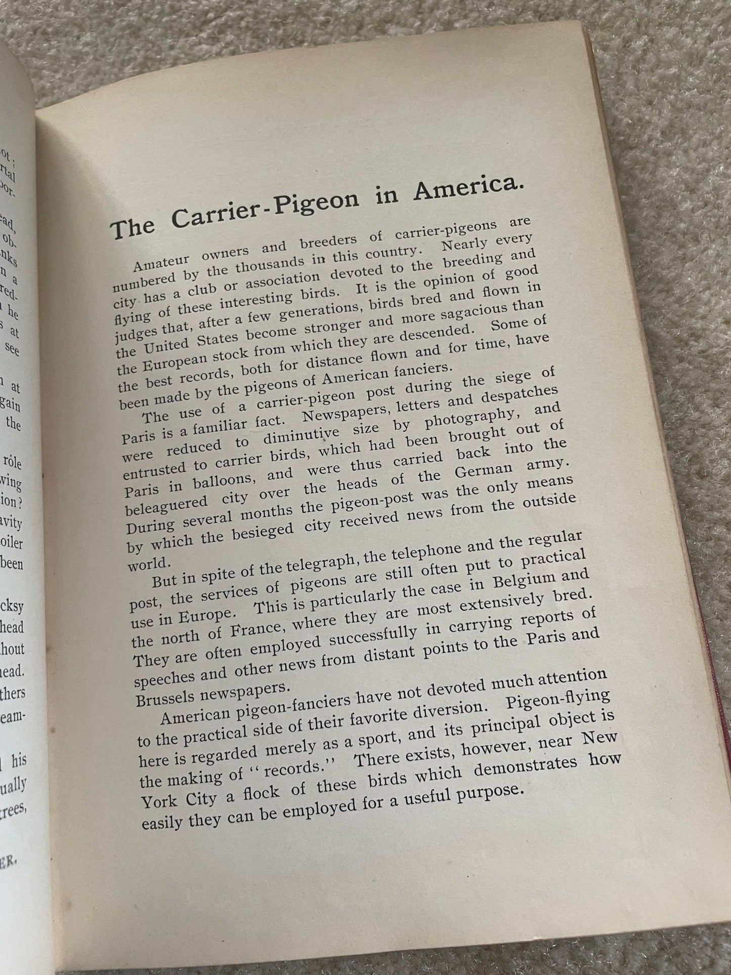 1900 “Talks About Animals” – The Companion Series | Extinct Carrier Pigeon Foreshadowing | Perry Mason & Co.