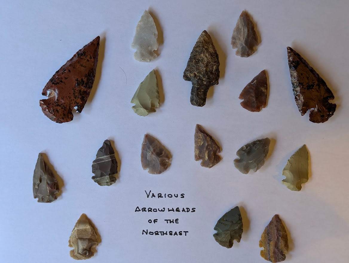 Collection of 15 authentic Native American arrowheads in various stone materials and styles from the Northeast region displayed on a white background.