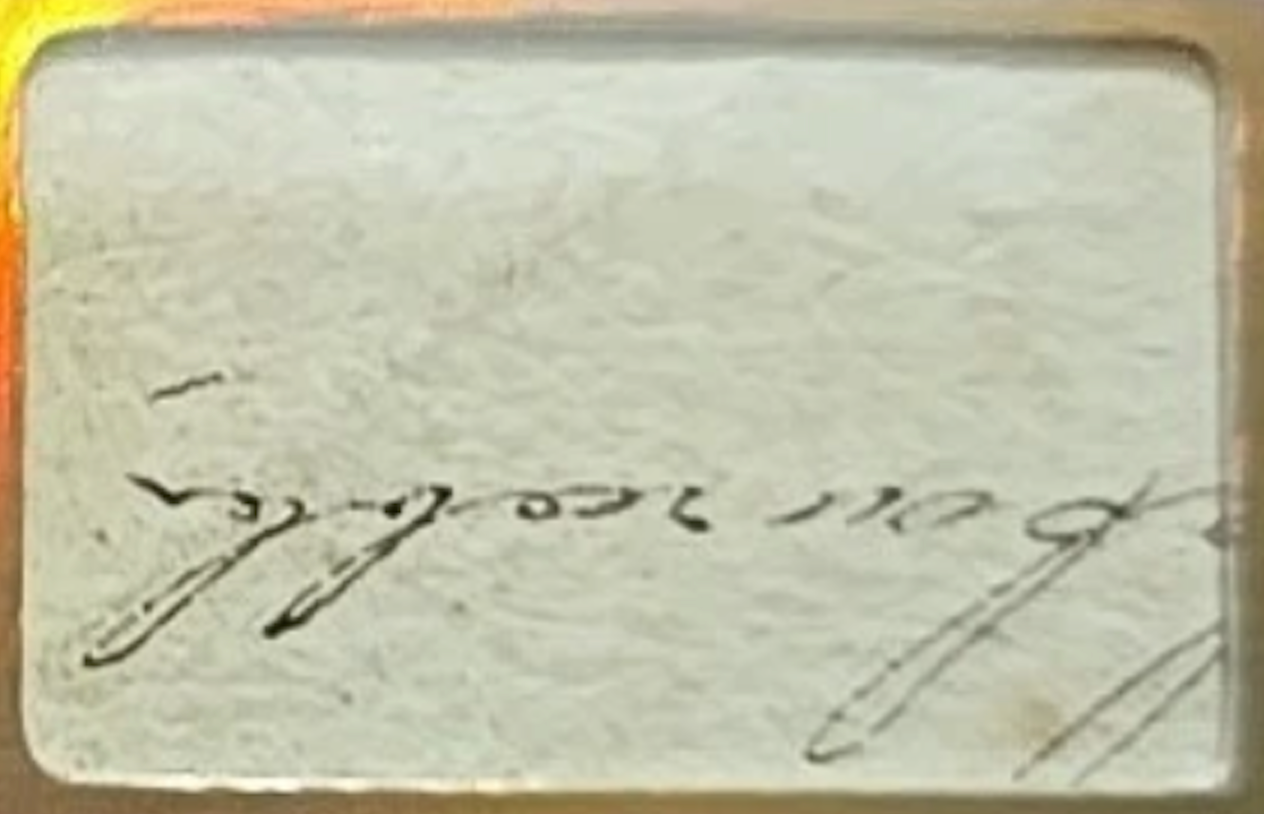 Charles Darwin manuscript fragment close-up – Victorian cursive handwriting detail