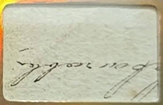 Charles Darwin manuscript fragment close-up – Victorian cursive handwriting detail