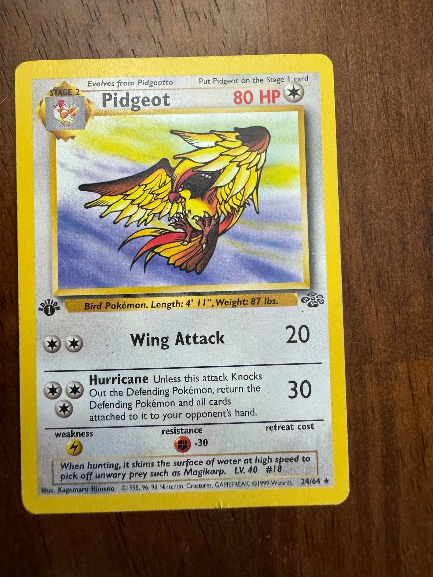 Jungle #24/64 Pidgeot card from the Jungle expansion set, featuring Pidgeot design.