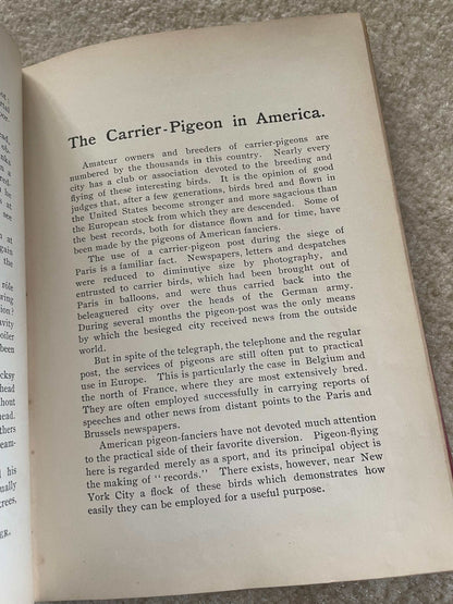 1900 “Talks About Animals” – The Companion Series | Extinct Carrier Pigeon Foreshadowing | Perry Mason & Co.