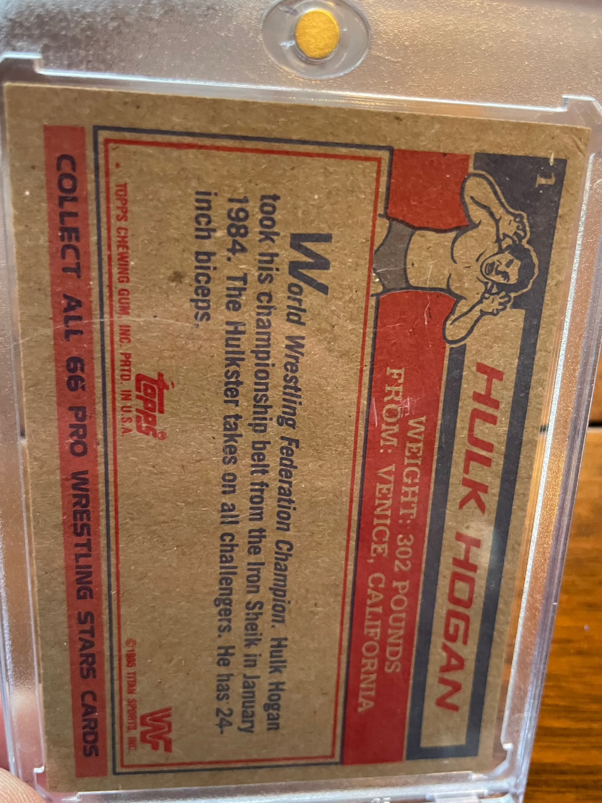 1985 Topps WWF RC Rookie #1 Hulk Hogan card in protective case.