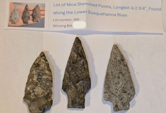 Trio of stemmed points from Lower Susquehanna River, largest 2¾", showing stone variation and use-wear.