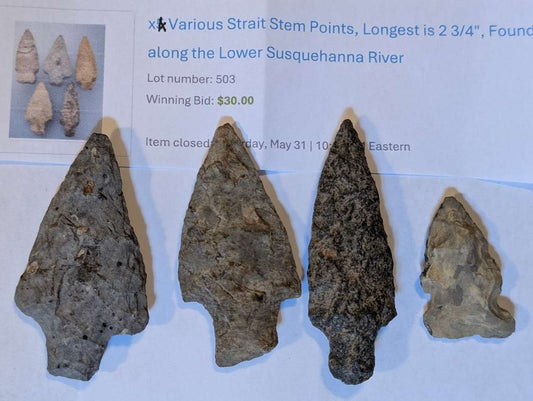 Set of four strait-stemmed projectile points made from mixed lithic materials, largest measuring 2¾ inches, recovered from Lower Susquehanna River Valley.
