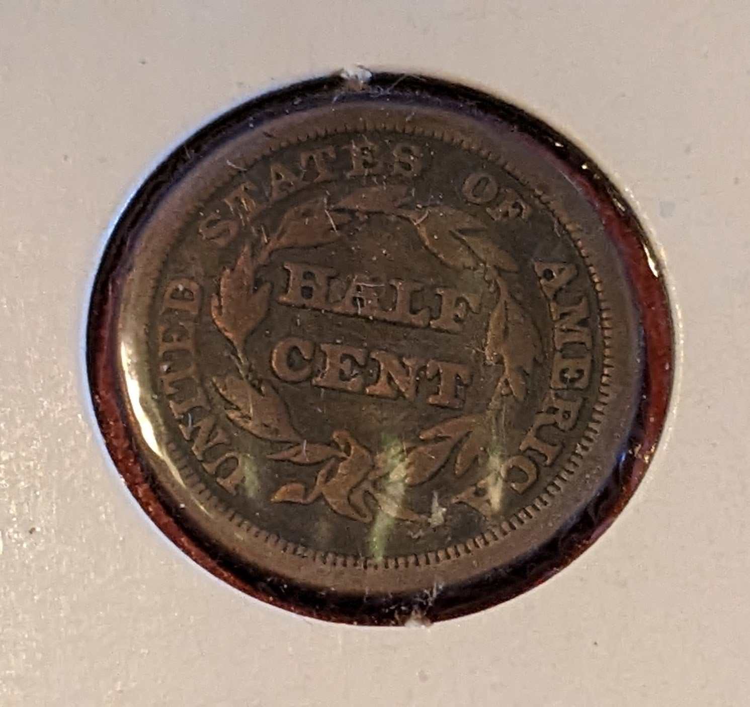 1853 Braided Hair Half Cent coin showing wreath and United States of America inscription
