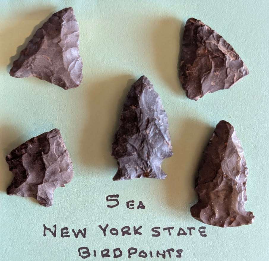 Lot of 5 authentic Native American bird points arrowheads from New York State made of chert with distinct bifacial flaking