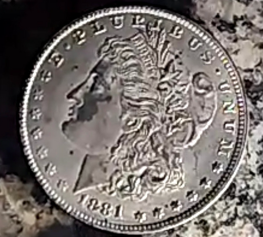 1881 Morgan Silver Dollar coin showing Liberty profile with clear details and natural silver tone