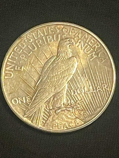 1922 Peace Silver Dollar - Fine!